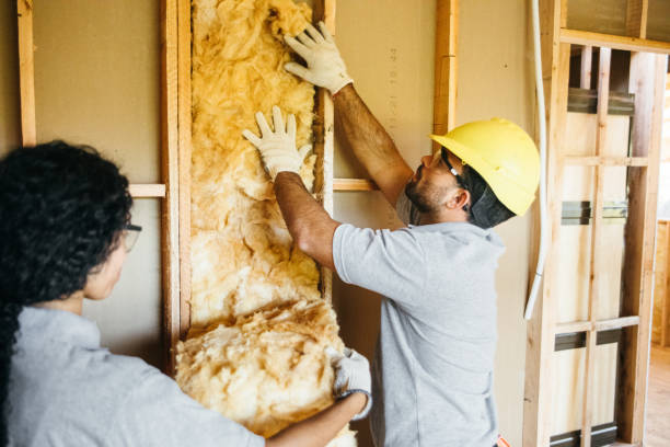 Insulation Replacement Services in Alton, IL