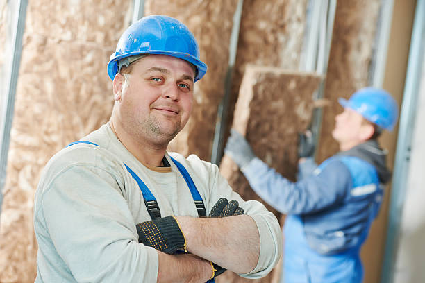 Best Attic Insulation Installation  in Alton, IL